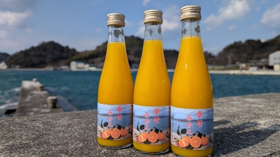 みかんジュース300mL6本入