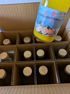 みかんジュース300mL 12本入