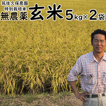 無農薬 特別栽培米 玄米 5kg&times;2袋 筑後久保農園 令和7年度産 福岡県産 にこまる