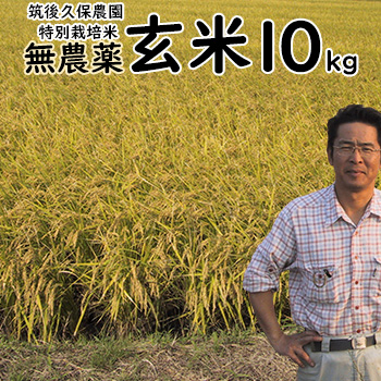 無農薬 特別栽培米 玄米 10kg 筑後久保農園 令和7年度産 福岡県産 にこまる