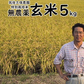 無農薬 特別栽培米 玄米 5Kg 筑後久保農園 令和7年度産 福岡県産 元気つくし