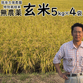 無農薬 特別栽培米 玄米 5kg&times;4袋 筑後久保農園 令和7年度産 福岡県産 にこまる