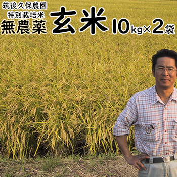 無農薬 特別栽培米 玄米 10kg&times;2袋 筑後久保農園 令和7年度産 福岡県産 にこまる