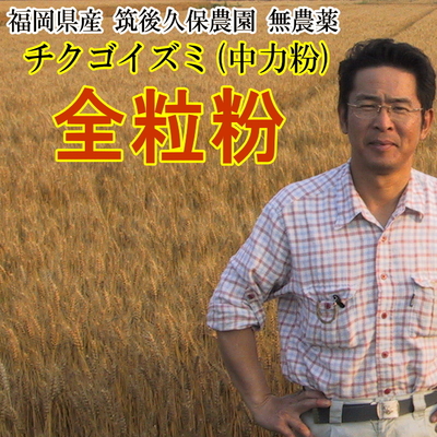 全粒粉 チクゴイズミ 無農薬 中力粉 福岡県産 筑後久保農園
