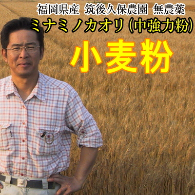 小麦粉 ミナミノカオリ 無農薬 中強力粉 福岡県産 筑後久保農園
