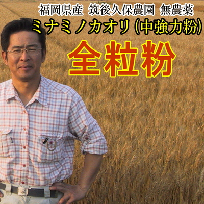 全粒粉 ミナミノカオリ 無農薬 中強力粉 福岡県産 筑後久保農園