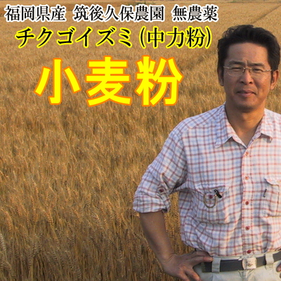 小麦粉 チクゴイズミ 中力粉 筑後久保農園 無農薬 国産 福岡県産