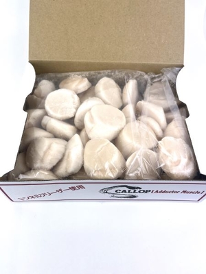 生冷凍帆立貝柱 1kg