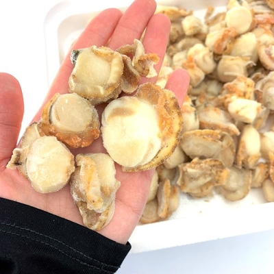 冷凍ボイル帆立 B品 800g入