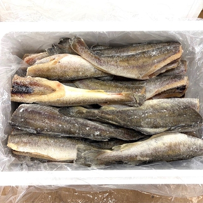 北海道産一夜干し氷下魚 生干しコマイ　LLサイズ&times;5kg入