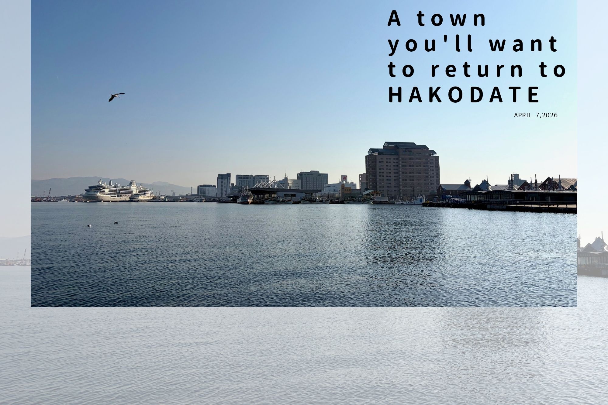 函館ベイエリア側から見た海と市場の景色