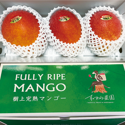 【贈答用】宮古島マンゴー1kg 