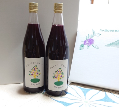 果実５０％使用完熟ブルーベリージュース７２０ｍｌ２本入り
