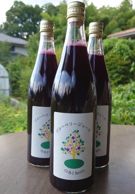 果実５０％使用完熟ブルーベリージュース７２０ｍｌ３本入り