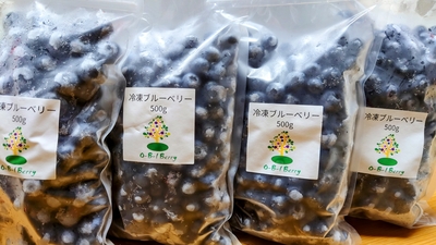 冷凍ブルーベリー５００ｇ入り１ｋｇ