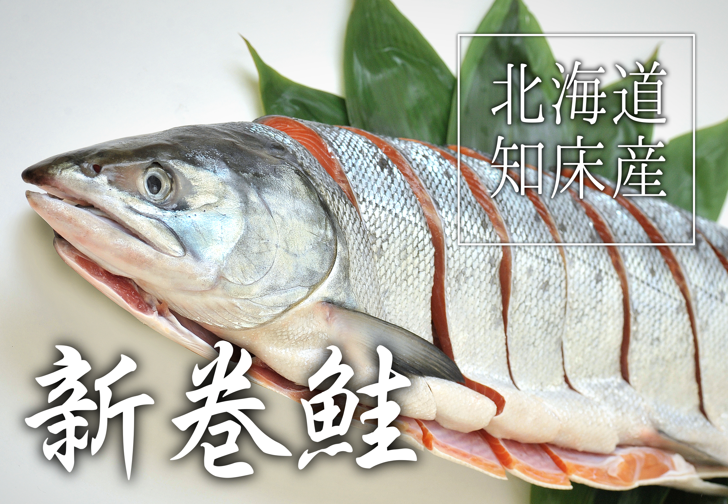 新巻鮭
