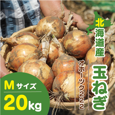北海道産 玉ねぎ Mサイズ 20kg