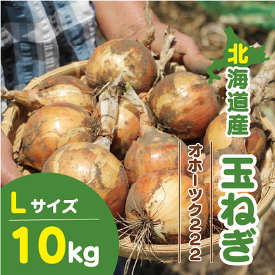北海道産 玉ねぎ Lサイズ 10kg