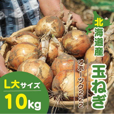 北海道産 玉ねぎ L大サイズ 10kg