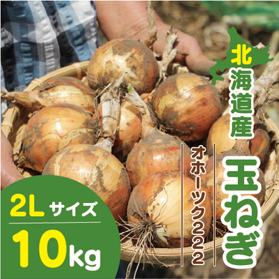 北海道産 玉ねぎ 2Lサイズ 10kg