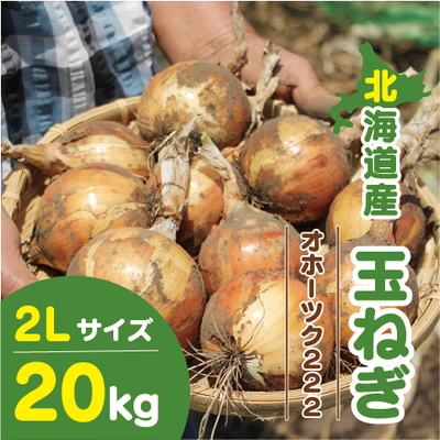 北海道産 玉ねぎ 2Lサイズ 20kg