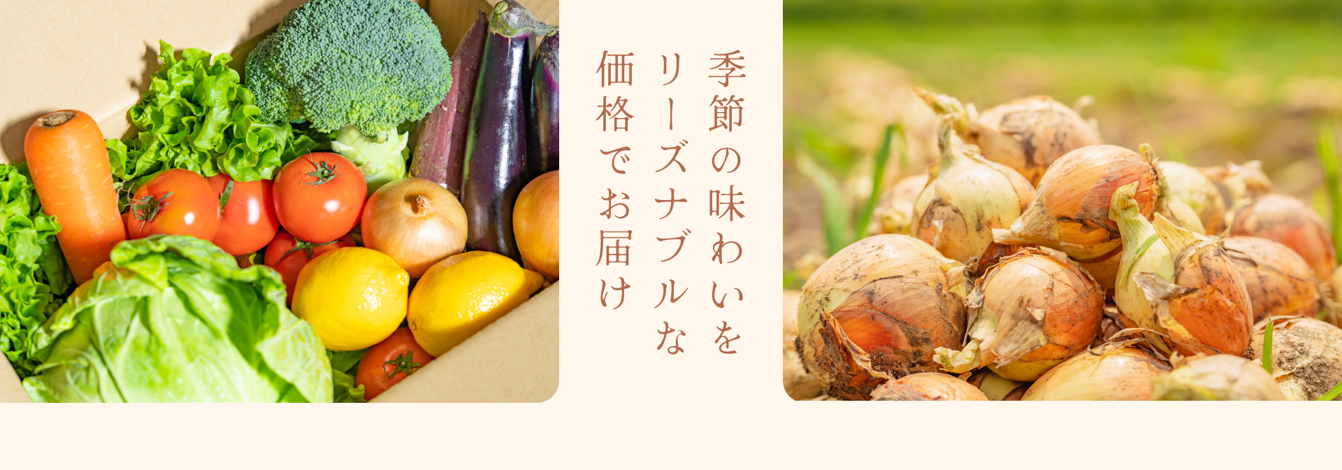季節の味わいをリーズナブルな価格でお届け