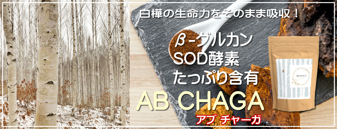 免疫強化＆抗酸化　アブチャーガ