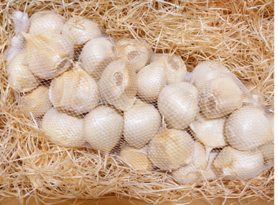 青森にんにく直売所　プレミアム特大粒　1きろ　青森県産にんにく　福地ホワイト