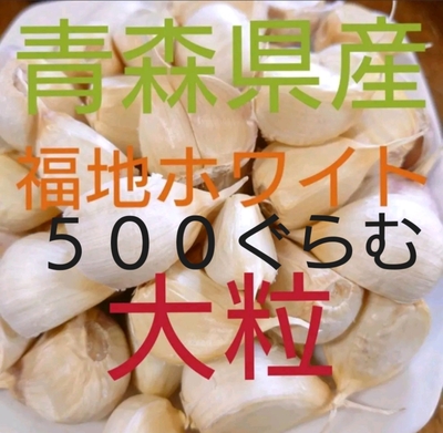 青森にんにく直売所　青森県産にんにく　大粒　500ぐらむ　福地ホワイト　ばら