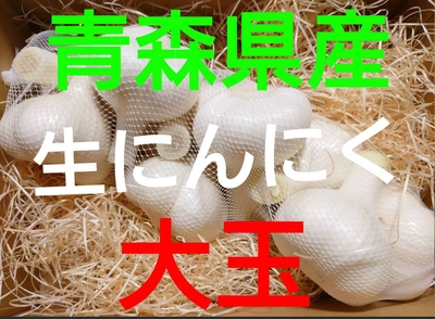 青森にんにく直売所　生にんにく　大玉　2㎏　青森県産にんにく　福地ホワイト
