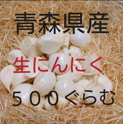 青森にんにく直売所　生にんにく　ばら　500ぐらむ　青森県産にんにく　福地ホワイト