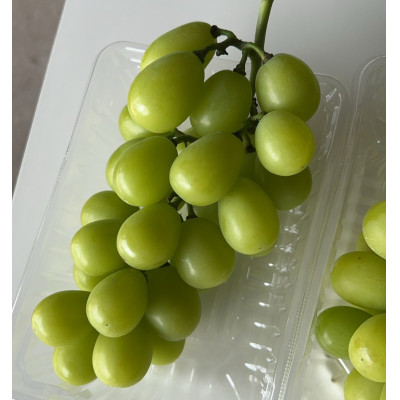 【シャインマスカット】訳あり  約1.2kg　2房