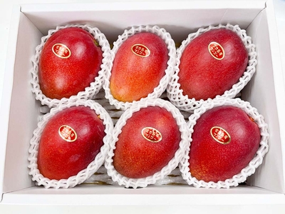 アップルマンゴー　贈答用2kg
