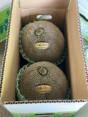 タカミメロン（丸南メロン）　（２個入／箱）　送料無料