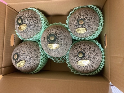 タカミメロン（丸南メロン）　（５個入／箱）　送料無料