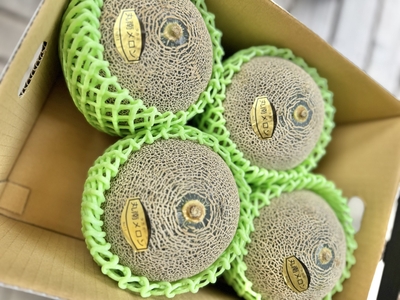 タカミメロン（丸南メロン）　（４個入／箱）　送料無料