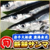 生サンマ直送便