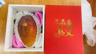【数量限定・希少品種】玉文