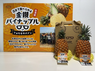 【5月14日締切です！】台湾産金鑚パイン 大玉(６玉サイズ/約1.6kgs)２個入り　＜送料込み＞