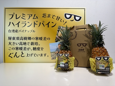 【5月14日締切です！】台湾産プレミアムハイランドパイン(金讚パイン) 大玉(6玉サイズ/約1.6㎏)2個入り　＜送料込み＞