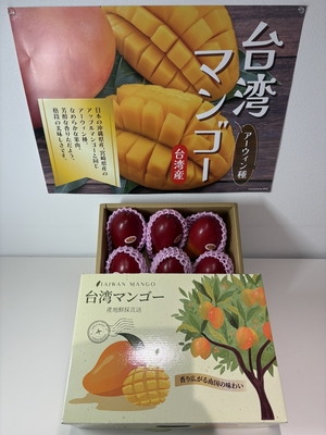 台湾マンゴー　アーウィン種　2.5㎏箱　（中玉7-8玉入り）送料込み（沖縄、北海道を除く）