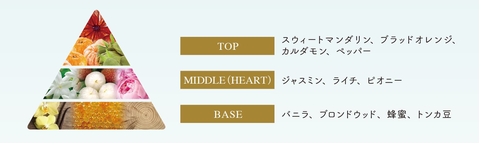 TOP:スウィートマンダリン、ブラッドオレンジ、TOP カルダモン、ペッパー MIDDLE(HEART):ジャスミン、ライチ、ピオニー BASE:バニラ、ブロンドウッド、蜂蜜、トンカ豆