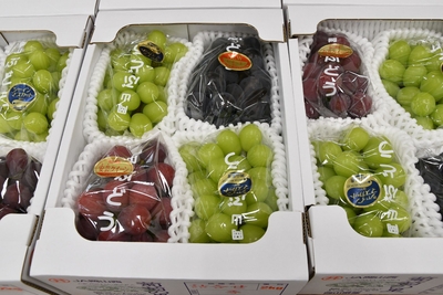 詰め合わせ２K箱(緑2房、赤系1房、黒系1房)