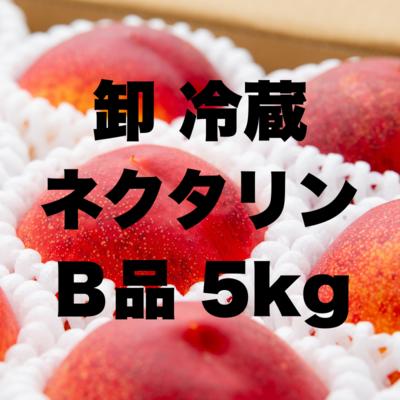 卸冷蔵ネクタリンB5kg
