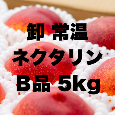卸常温ネクタリンB5kg