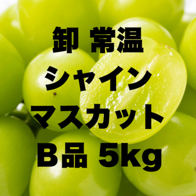 卸常温シャインB5kg