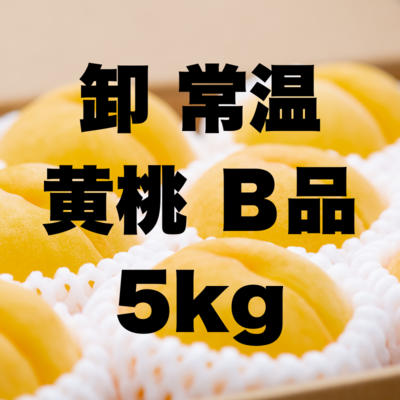 卸常温黄桃B5kg