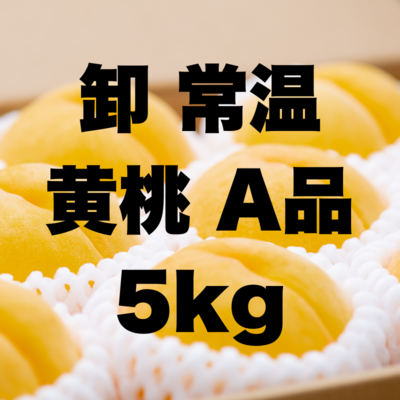 卸常温黄桃A5kg