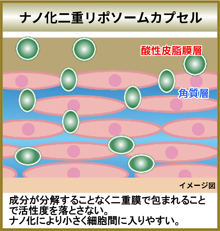 ビュースリクリーム30ｇ送料無料は・ナノ化二重リポソームカプセルにしてお肌の奥まで浸透させます