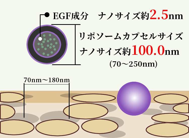 ビュースリクリームの成分はナノサイズにしてお肌の奥まで浸透させる